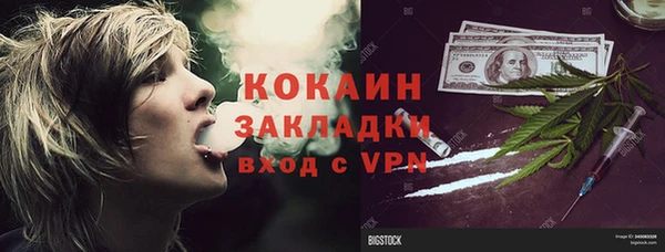 дмт Алексин