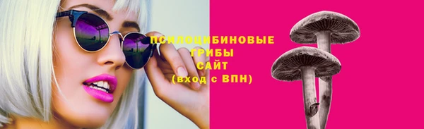 сатива Алексеевка