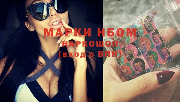 индика Иннополис