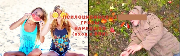 амф Абдулино