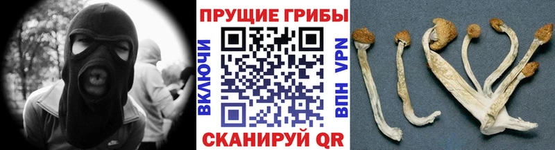 купить закладку  МЕГА как войти  Псилоцибиновые грибы мухоморы  мориарти как зайти  Советская Гавань 