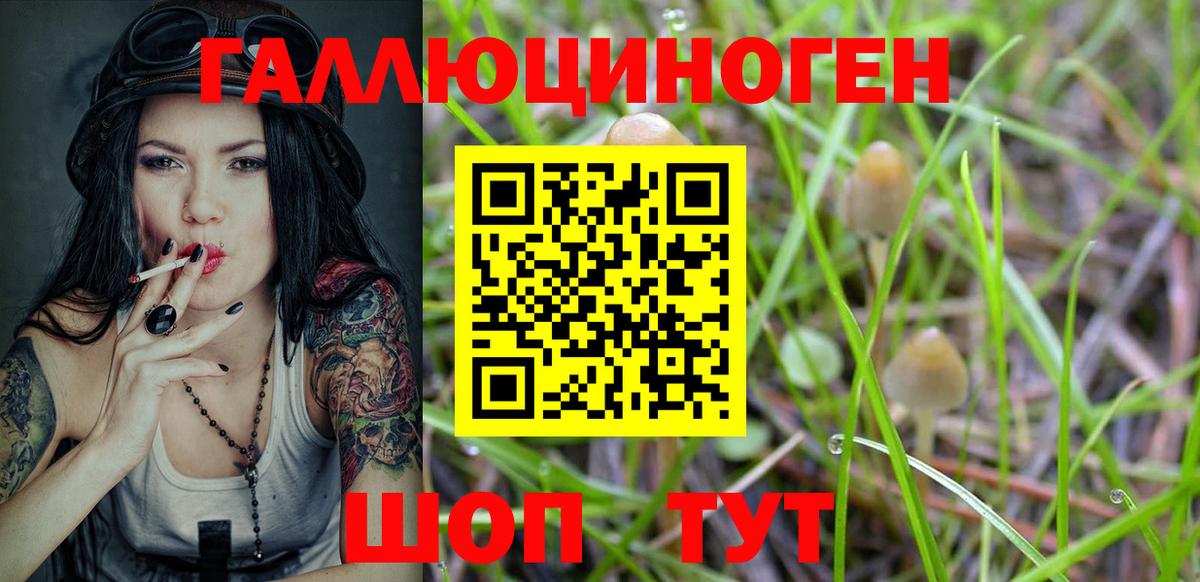 Псилоцибиновые грибы Psilocybe  Вход с VPN  Советская Гавань 