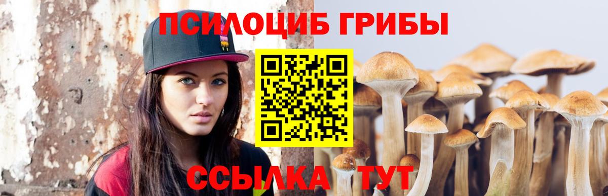 Галлюциногенные грибы мухоморы Советская Гавань